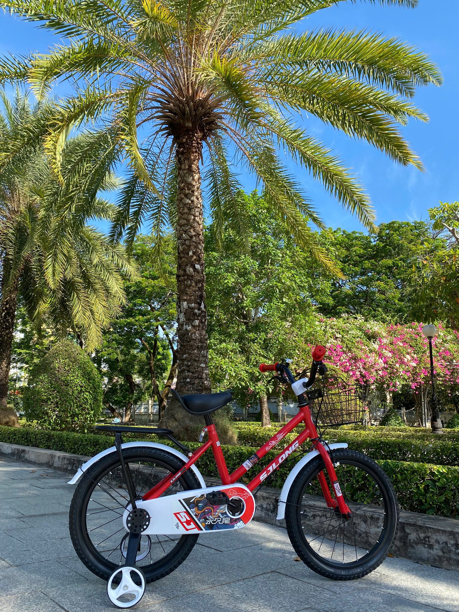 2163-1 "SJLONG 1 ĐỎ, XANH, HỒNG 18"