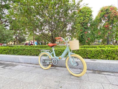 VICCABE GẤP XANH CỐM, XANH DƯƠNG, HỒNG 18