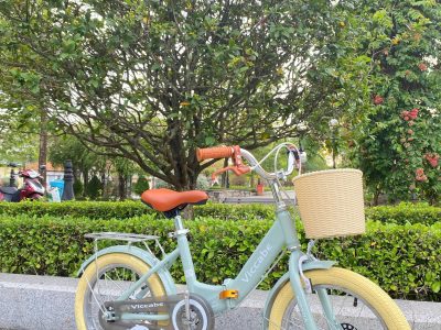 VICCABE GẤP XANH CỐM, XANH DƯƠNG, HỒNG 18